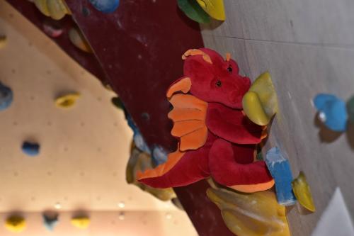 Kletterhalle_07