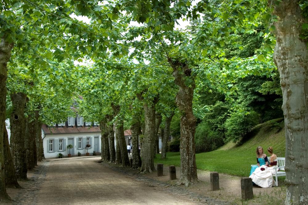 Nila Fürstenlager_3