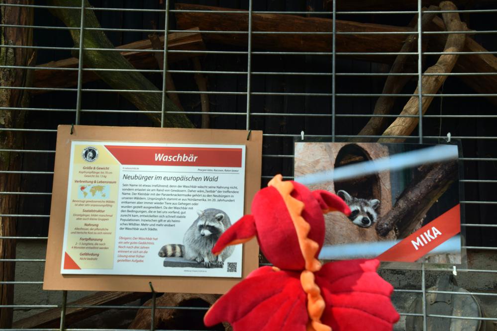 03_Bild Bergtierpark