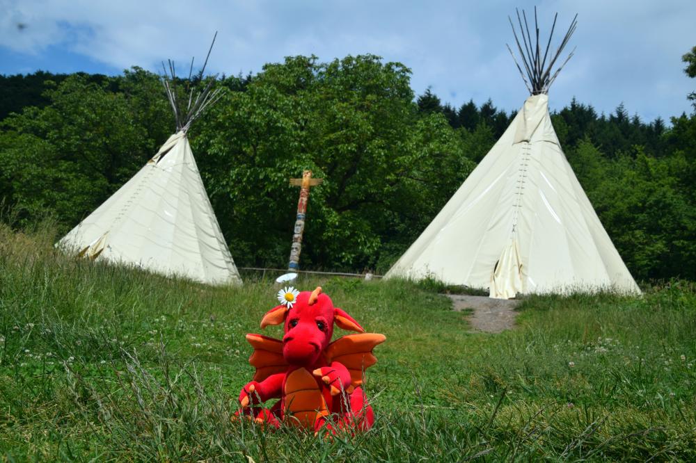 07_Bild Bergtierpark