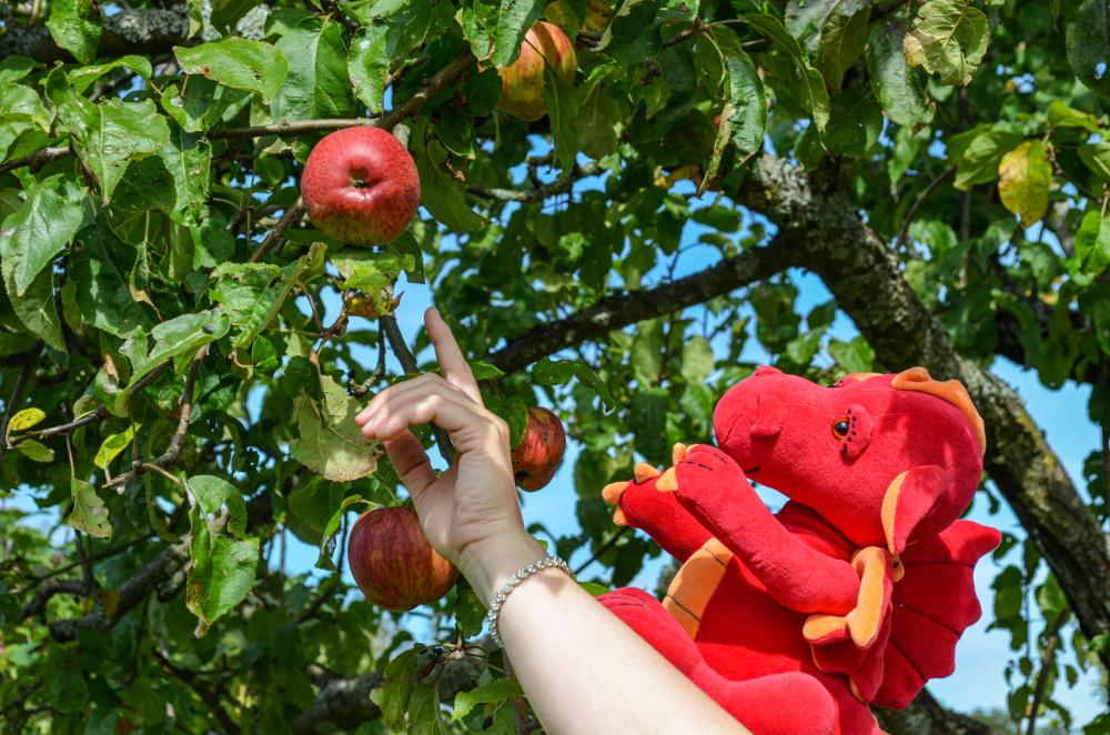 05_Nila kommt auf den Geschmack