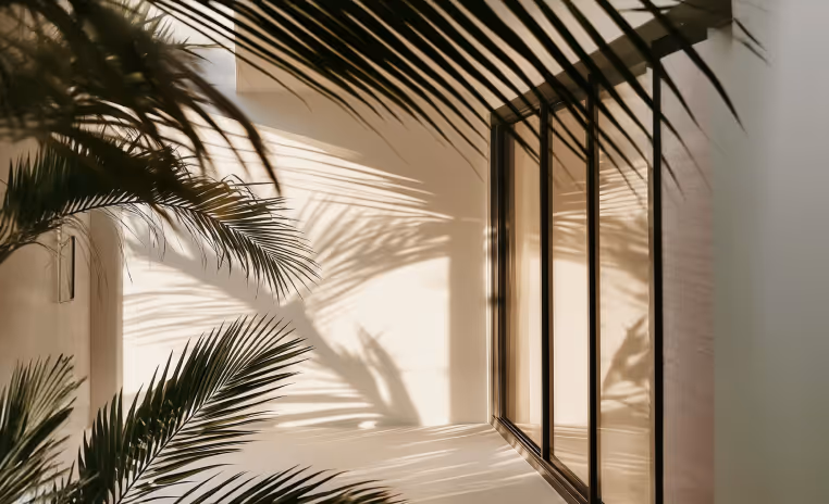 Azerbaijan Rising: Why Global Investors Are Looking to the Region