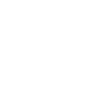 instagram social icon