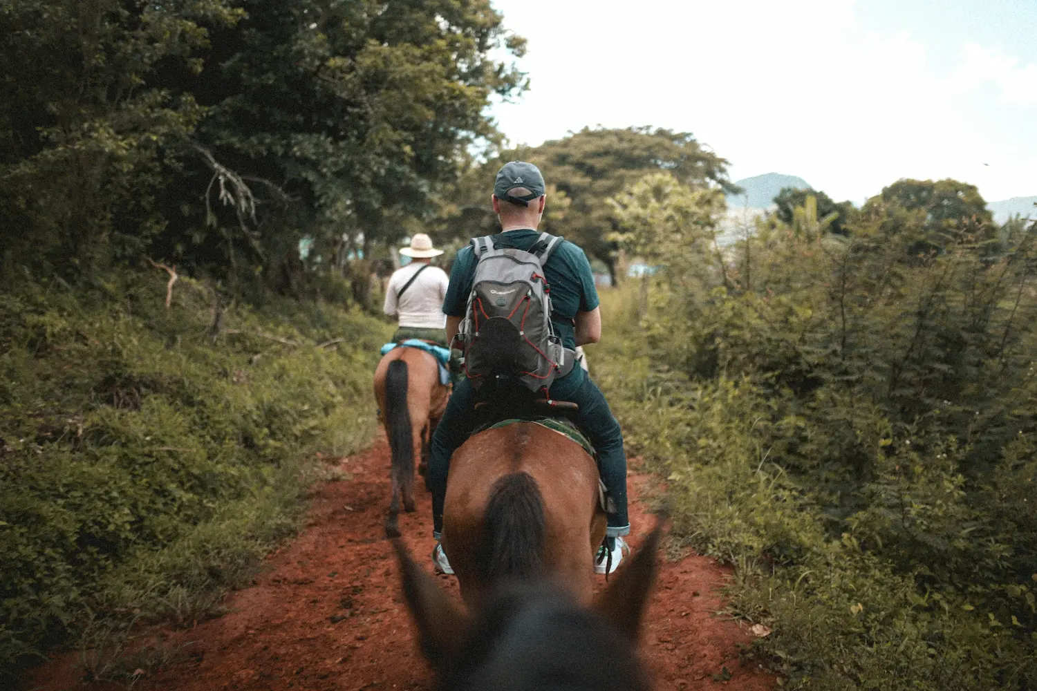 Deux cavaliers avancent à cheval sur un sentier de terre rouge entouré de végétation dense, dans un décor naturel évoquant les gorges du Verdon, l’un portant un sac à dos et l’autre un chapeau de paille.