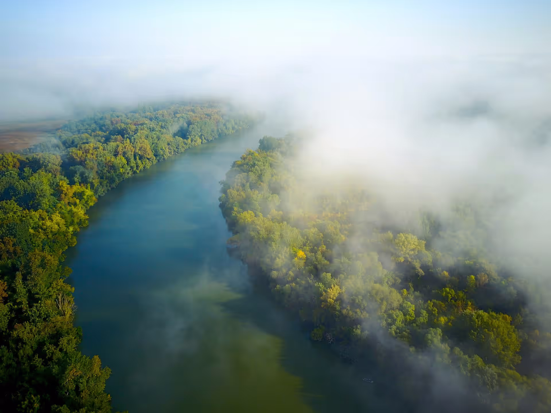 Danube river winding through dense green forest partially covered by morning mist or fog.