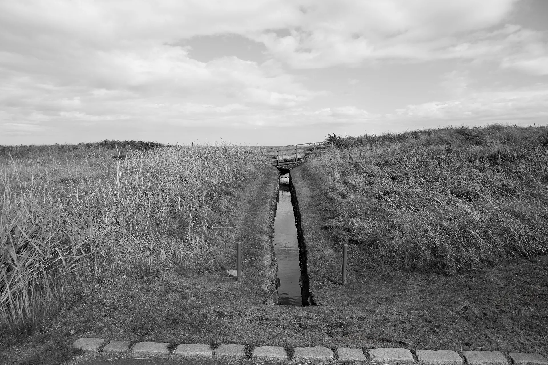 THE MIDDLE, Kingsbarns Golf Links, 2025 Scotland