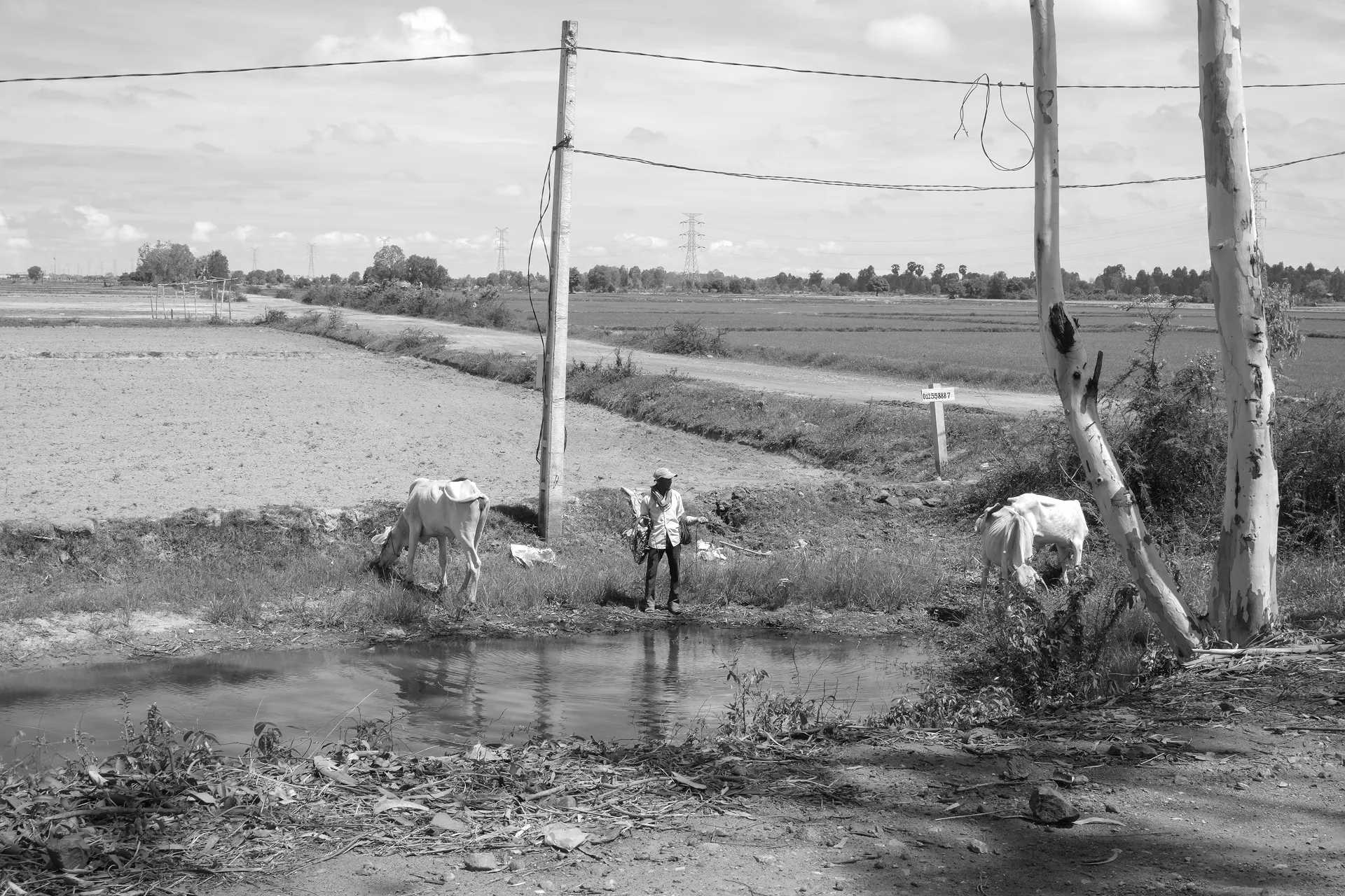 FARMER, 2025 Siem Reap, Cambodia