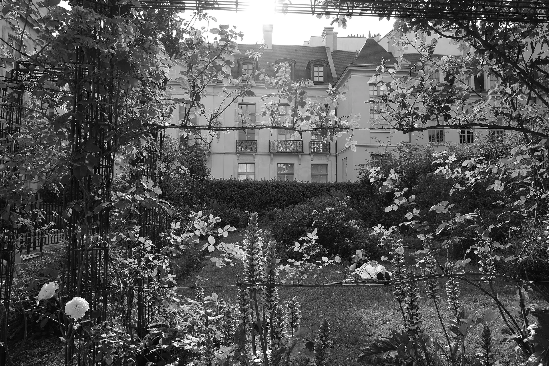 SECRET GARDEN II, June 2025 Paris