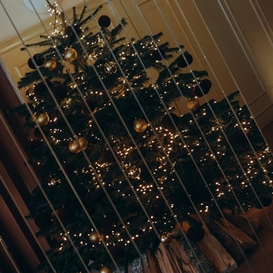 Christmas Feast St Bernard 