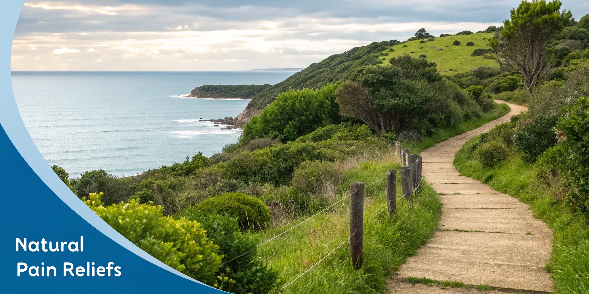 Laser Lab MI blog featuring recovery and wellness tips