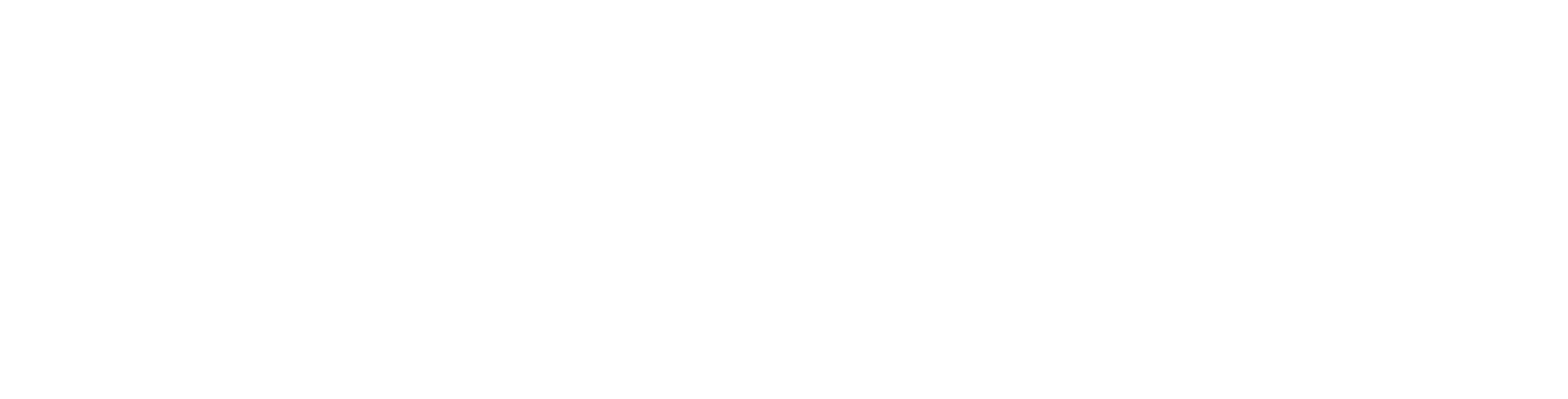 NotuBiz logo (terug naar homepage)