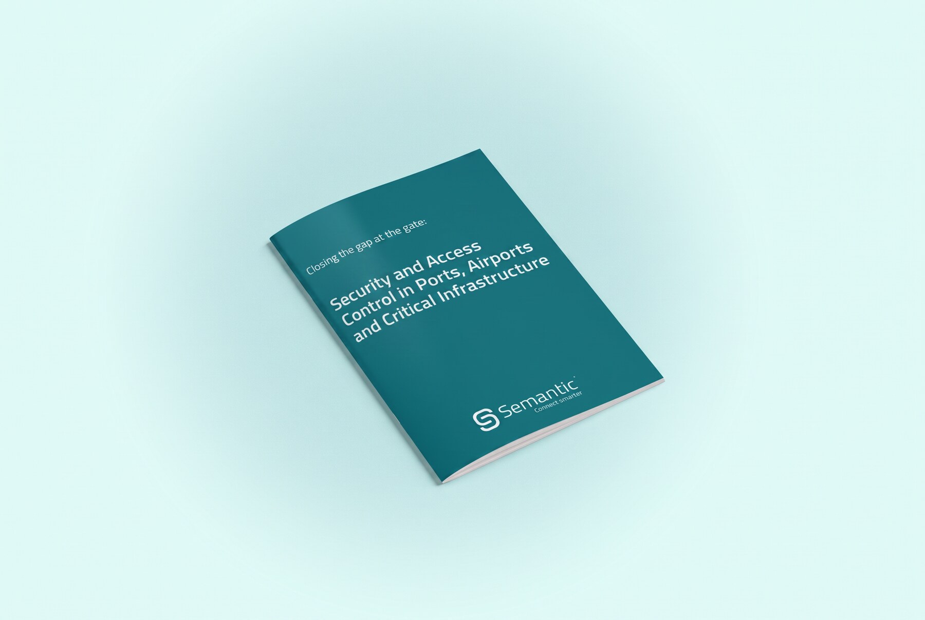 Security and access control white paper brochure mockup