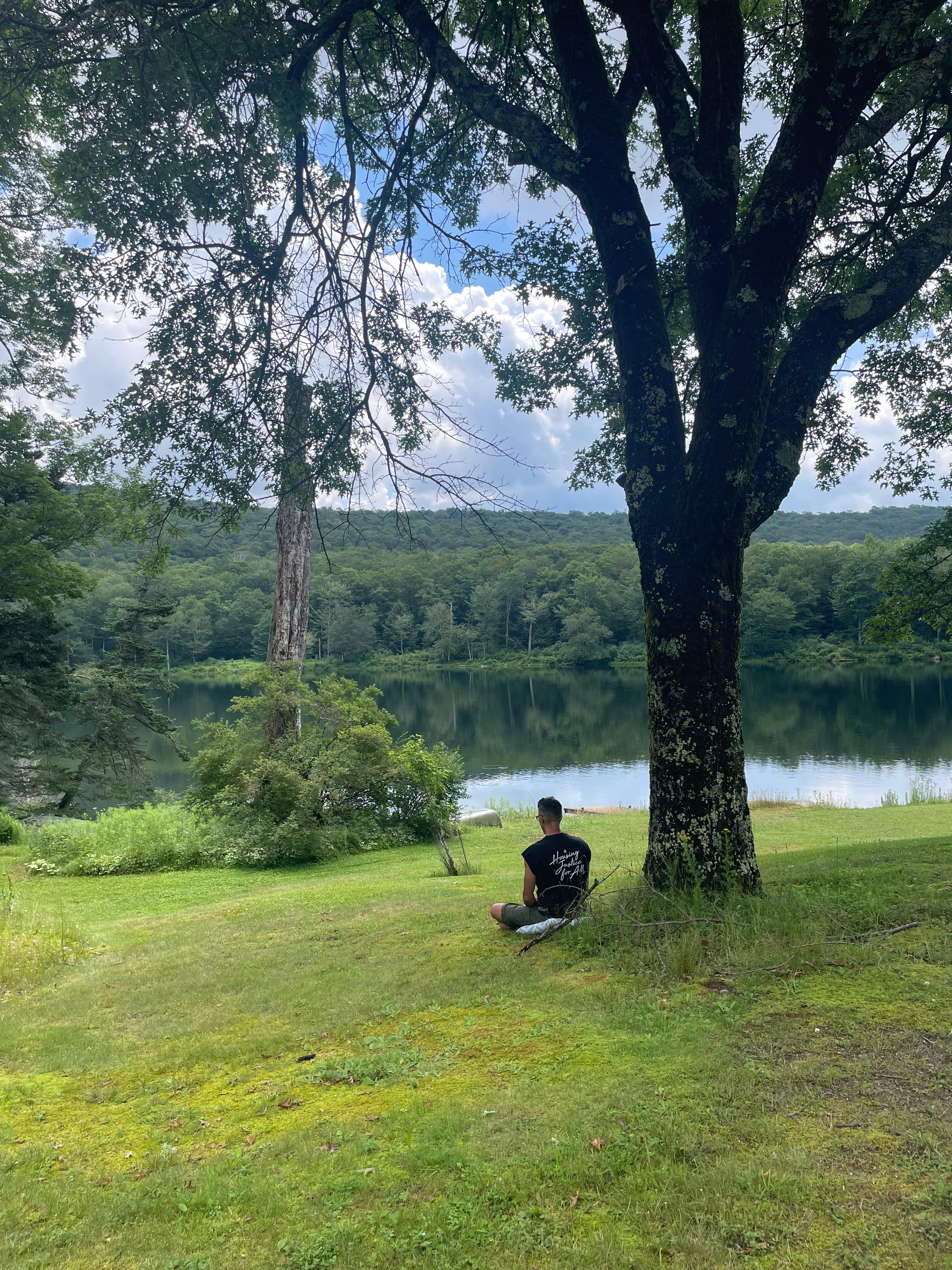 Person sitting on grass under a tree meditating by a calm lake surrounded by forest and hills under a cloudy sky.