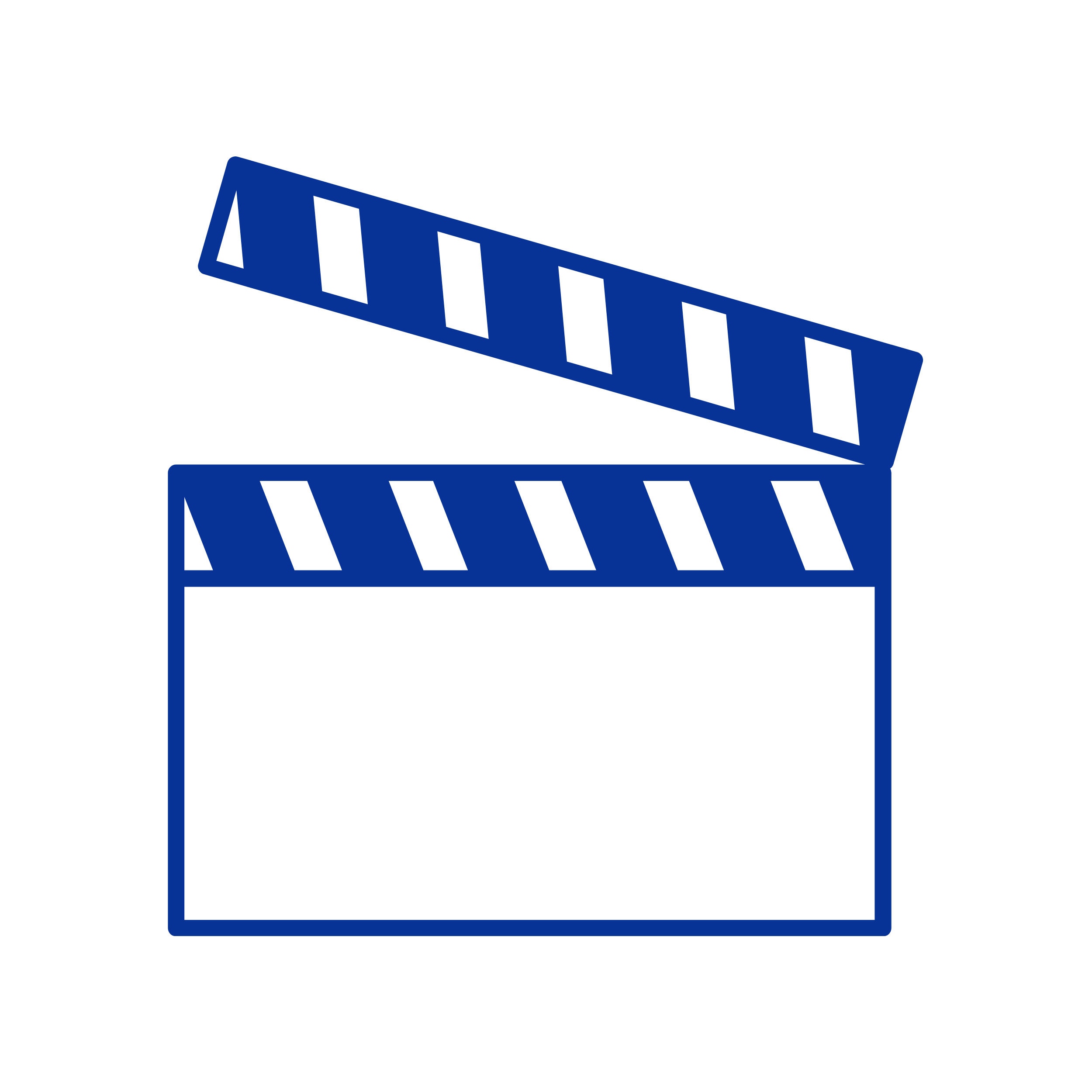 Action icon