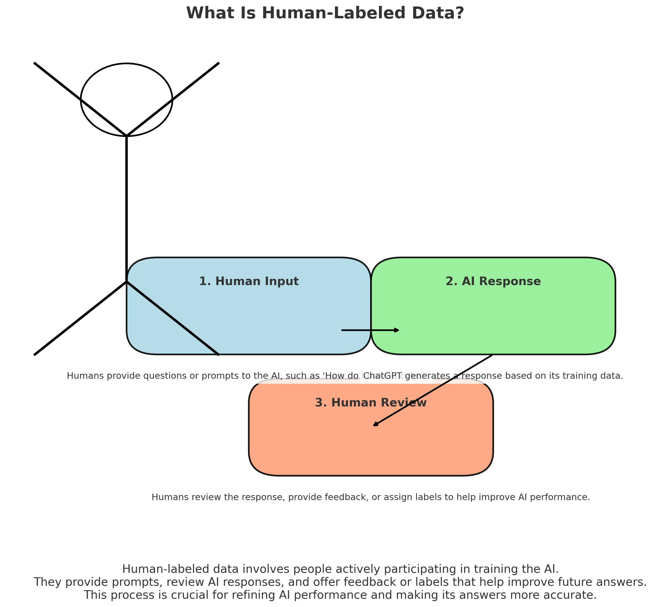 What Is Human-Labeled Data