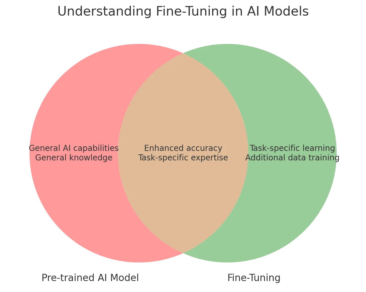 Understanding Fine-Tuning