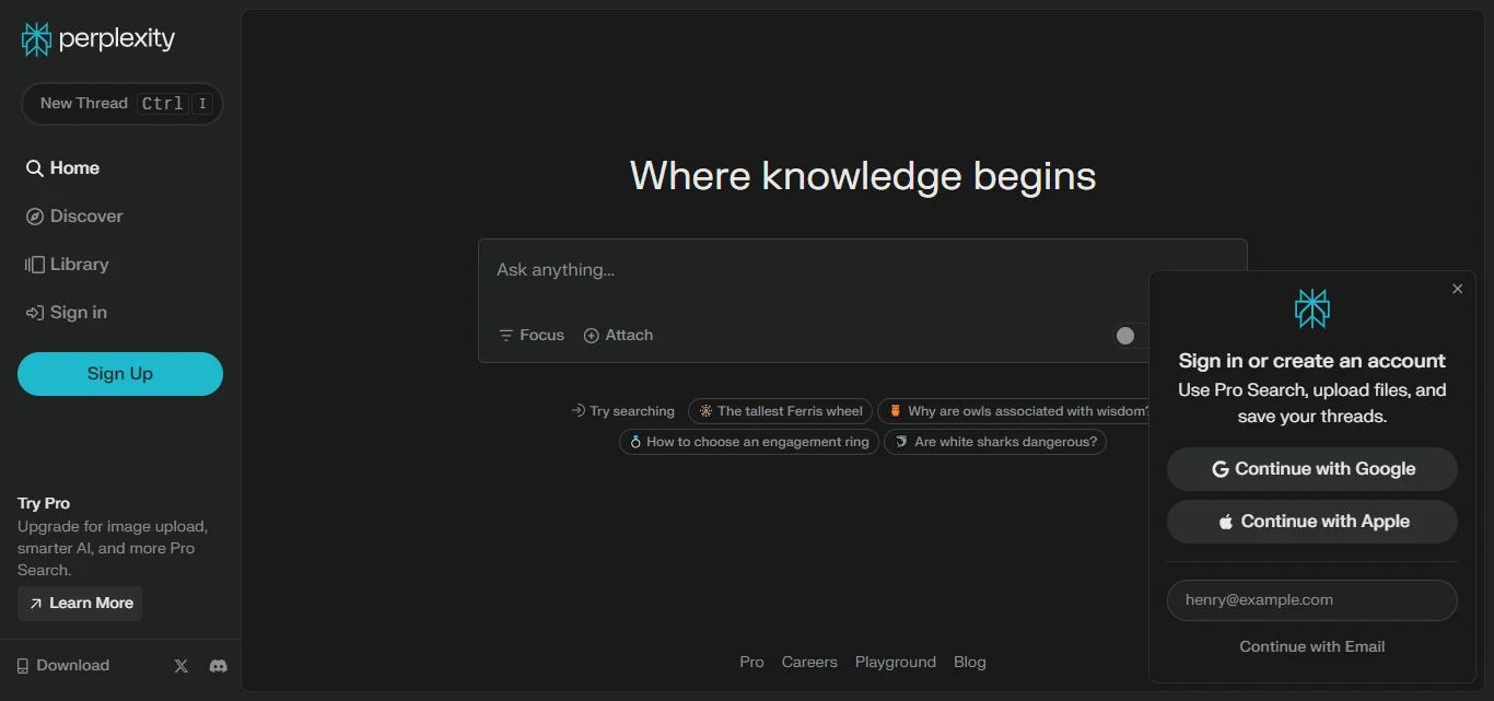 Web view of Perplexity AI Extension