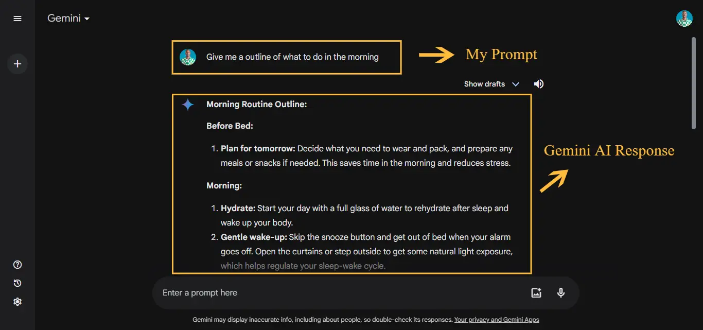How to Use Gemini AI: Image #3