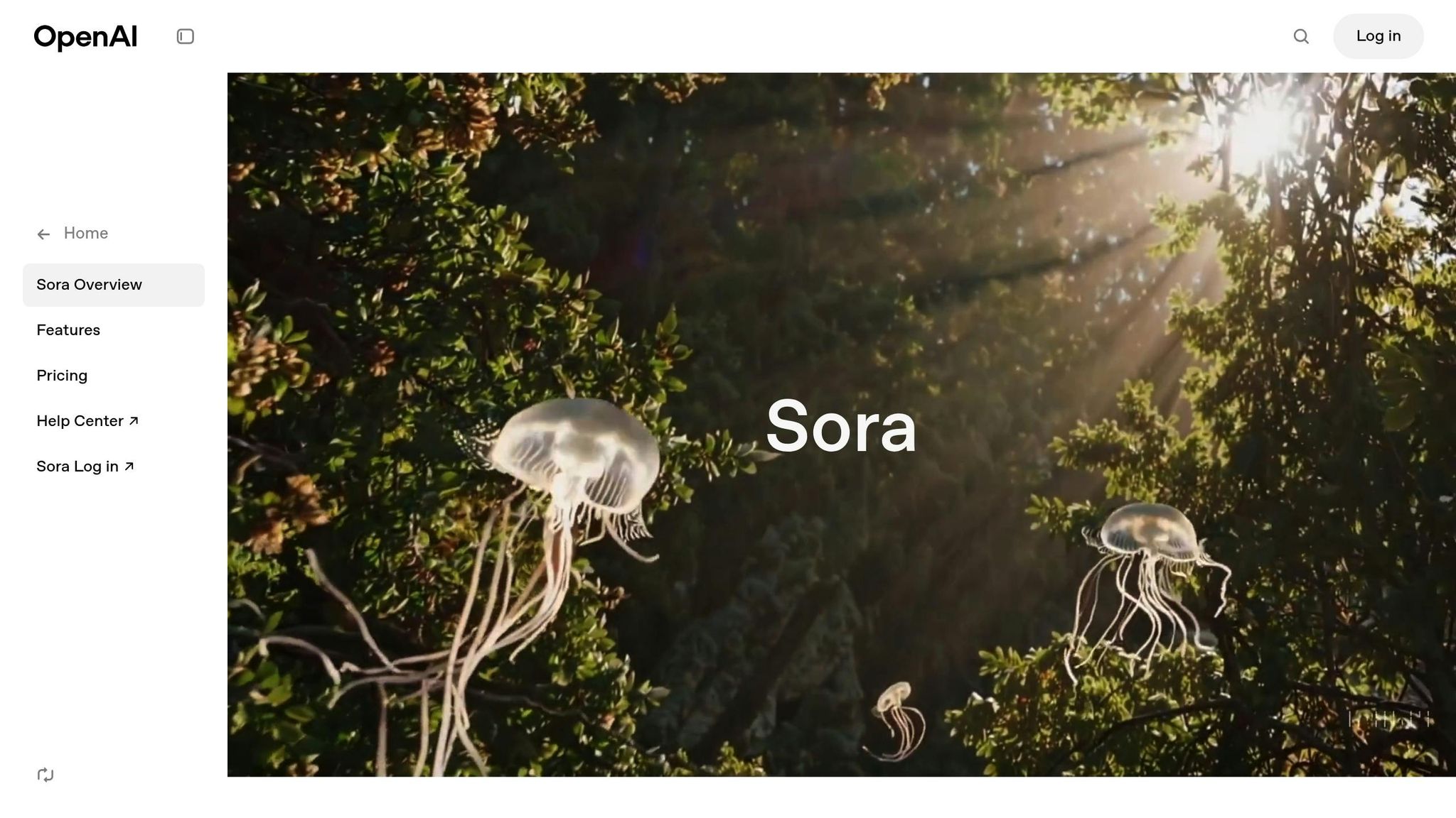 Sora