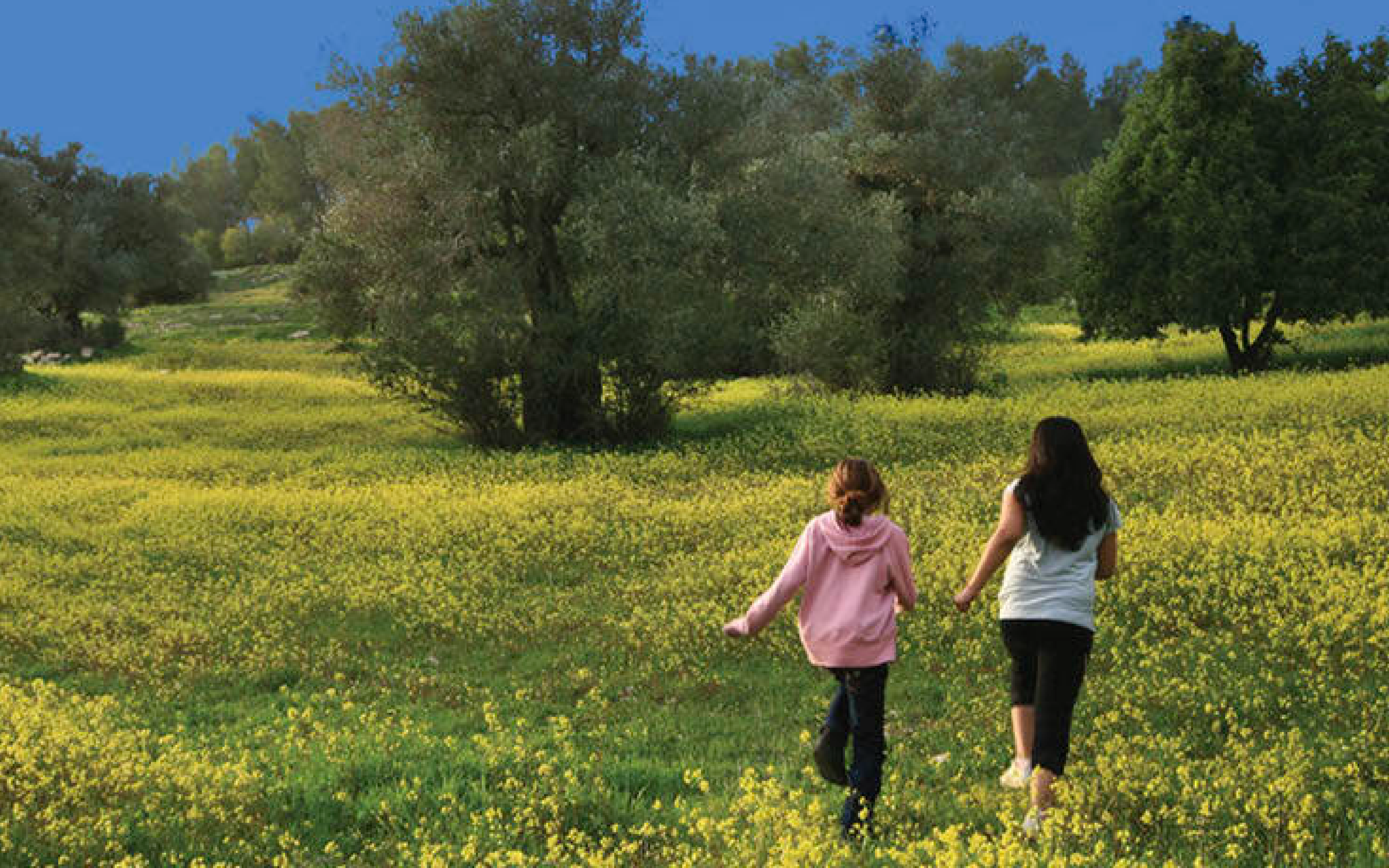 two young children skipping through a field