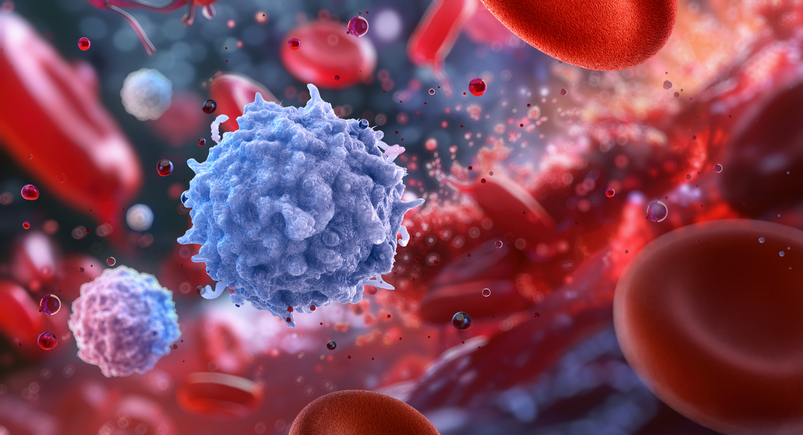 Medical illustration of red and white blood cells in the bloodstream.