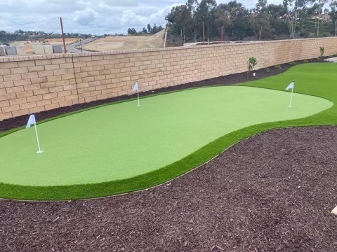 Front yard of a house with artificial grass and stepping stone pathway leading to the entrance.