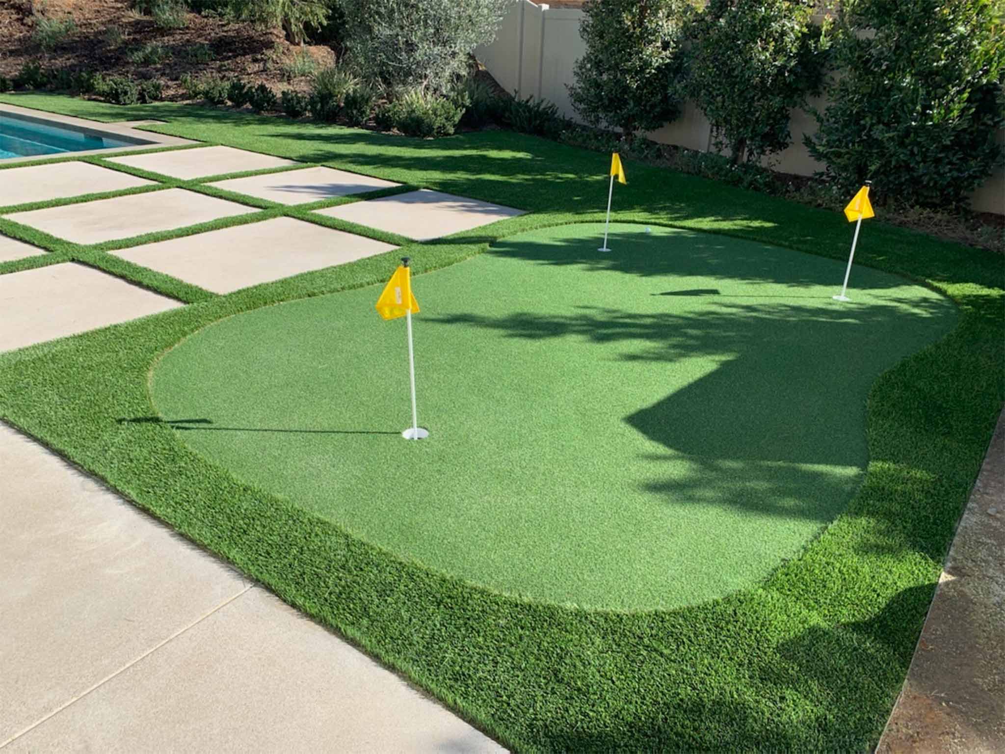 Well-manicured front yard with bright green grass, a large leafy plant cluster, a small palm tree, and a pathway leading to a blue house entrance.