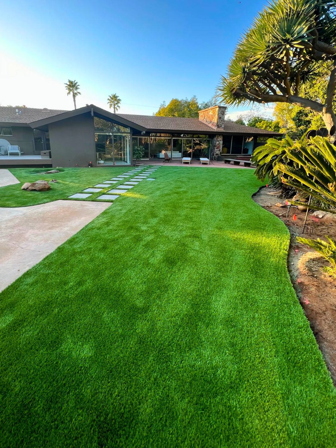 Well-manicured front yard with bright green grass, a large leafy plant cluster, a small palm tree, and a pathway leading to a blue house entrance.
