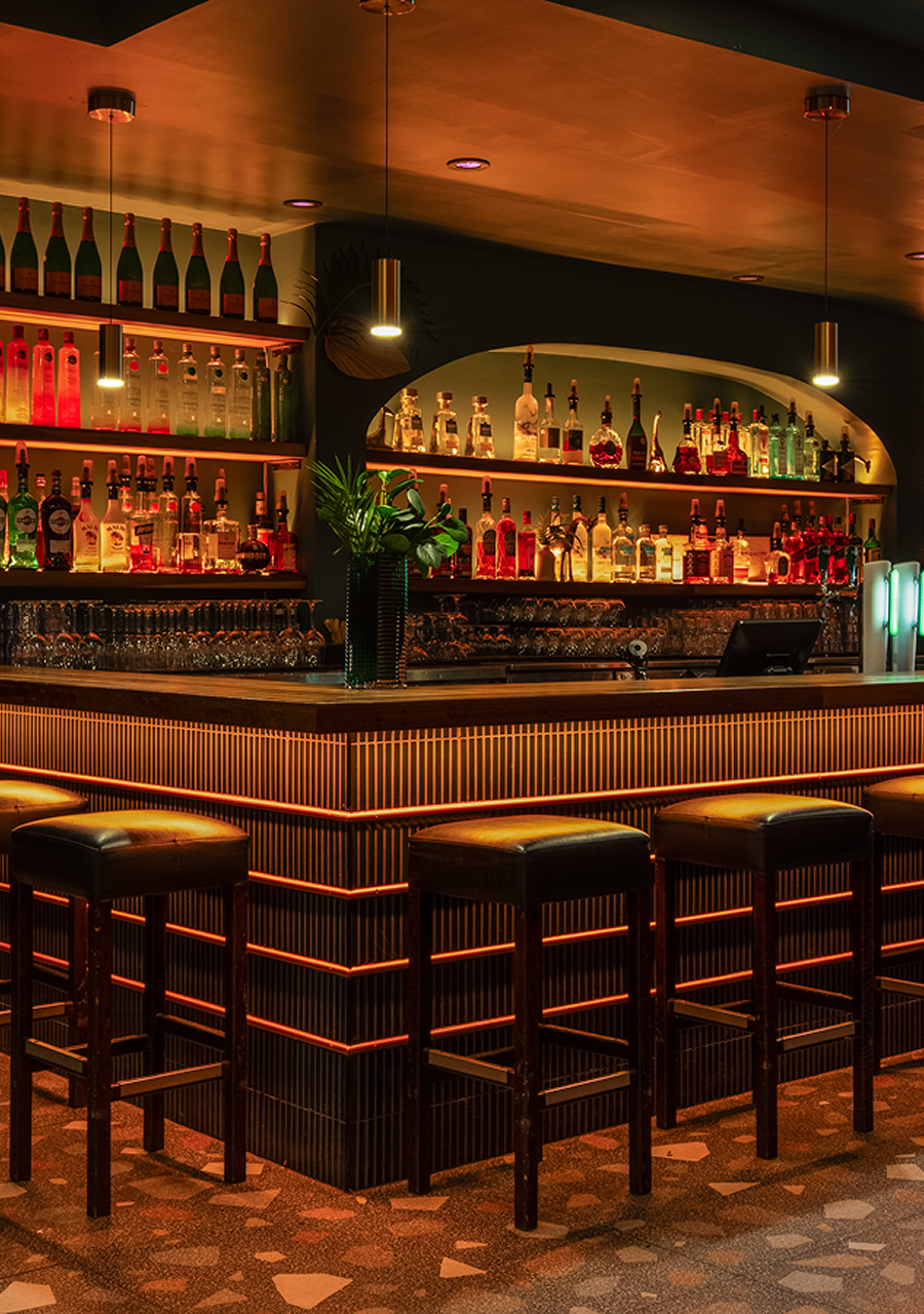 Bar moderne avec tabourets en cuir, étagères éclairées affichant diverses bouteilles d'alcool et décorations végétales.