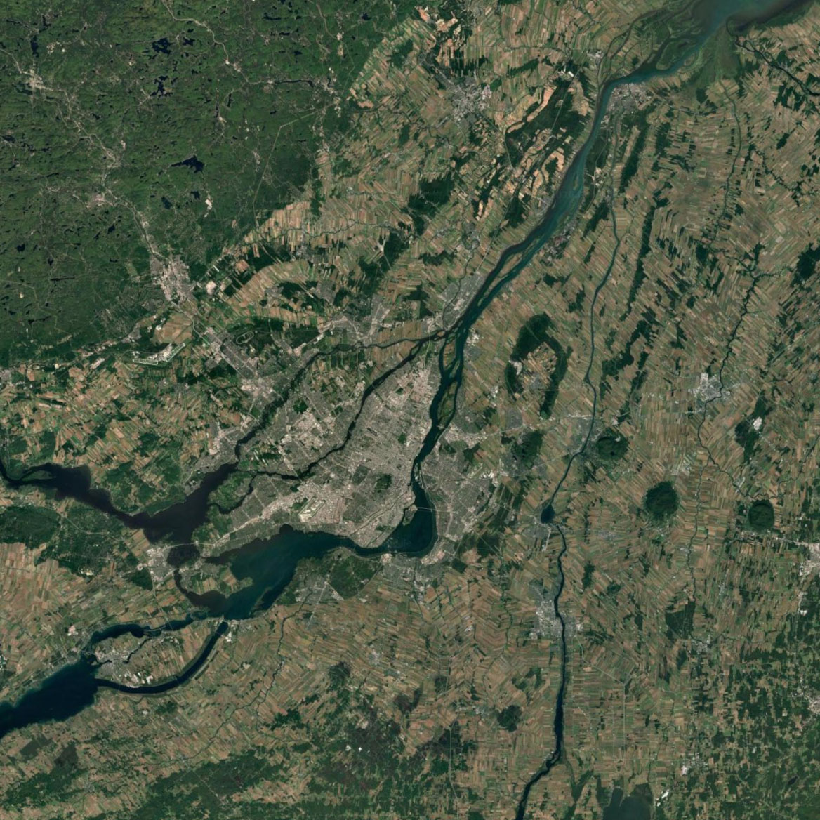 Beaver Image Fondation