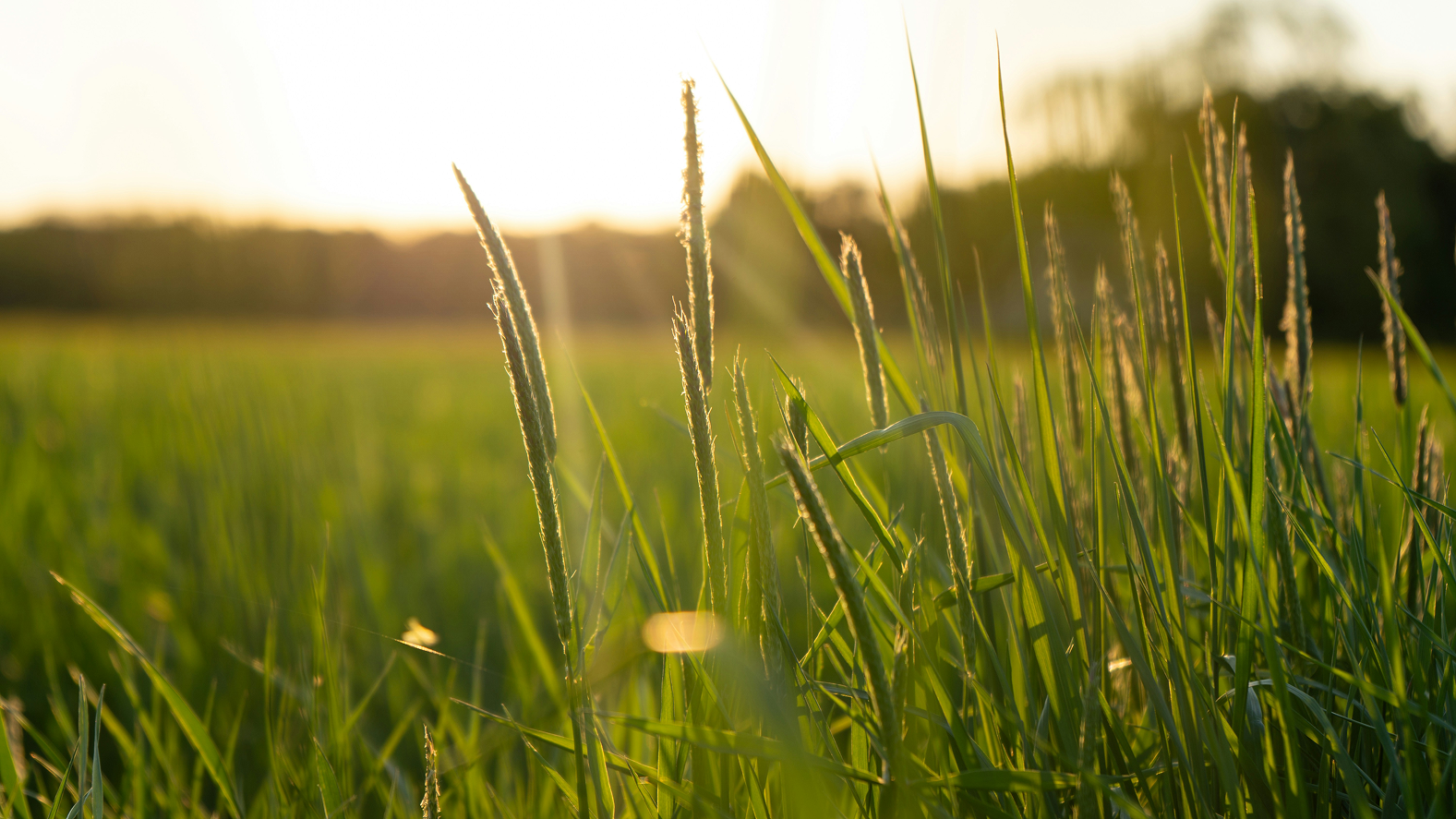 Vallée de chevreuse
