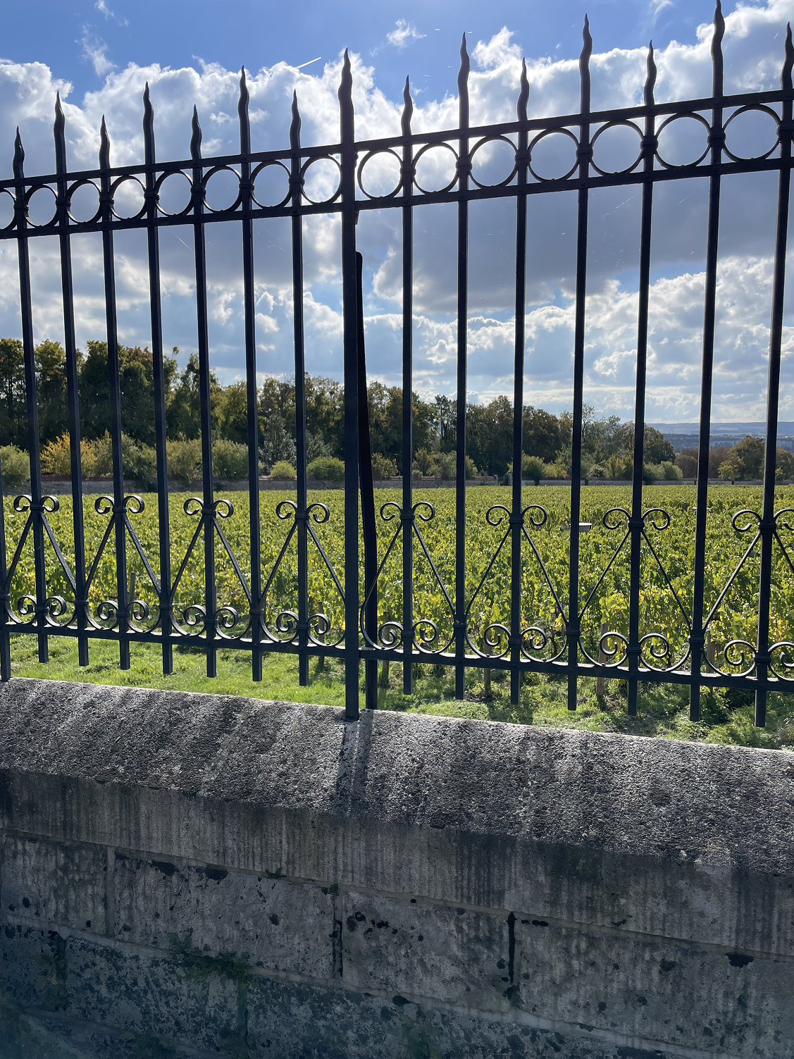 Paysage de Champagne