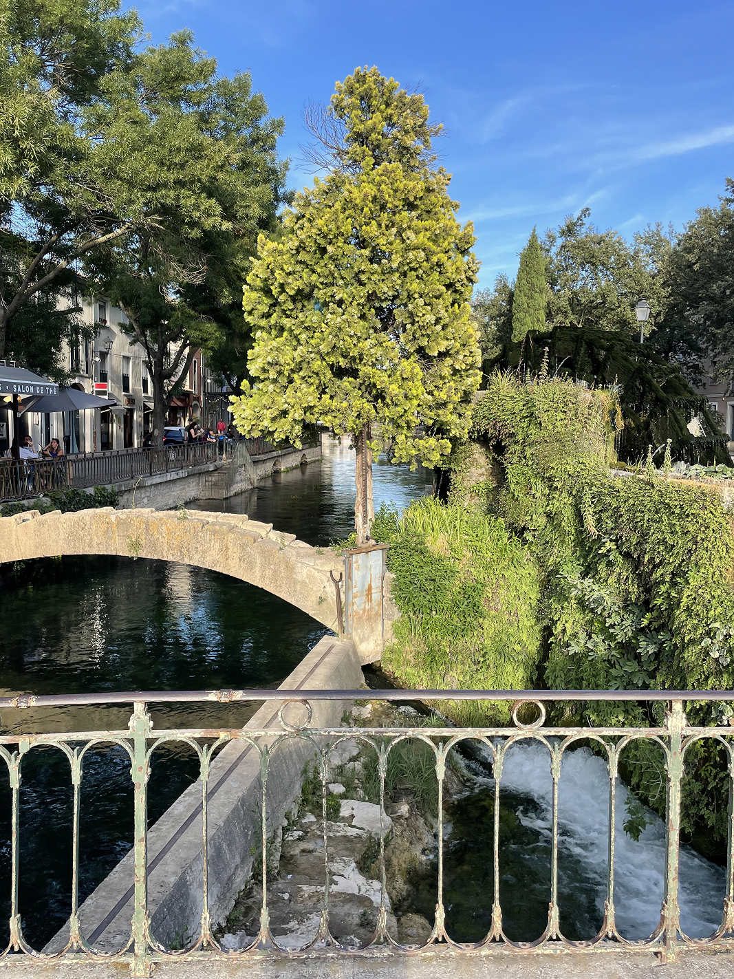 Paysage Drôme provençale