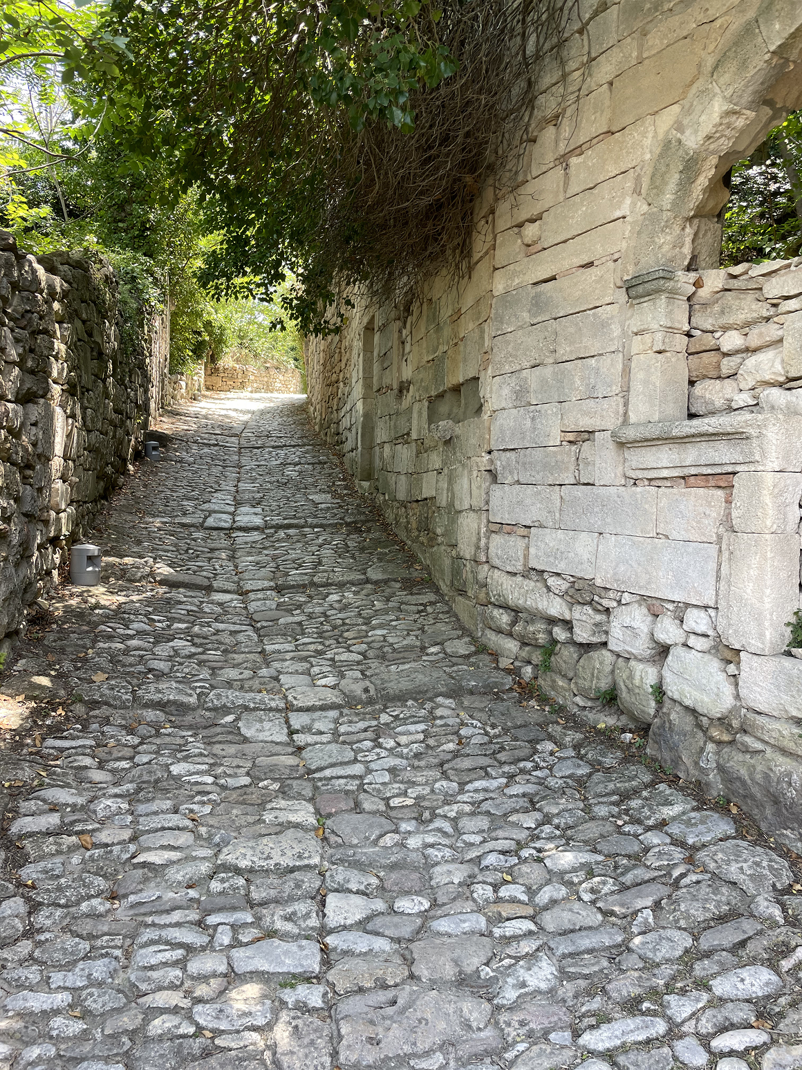 Paysage Drôme provençale