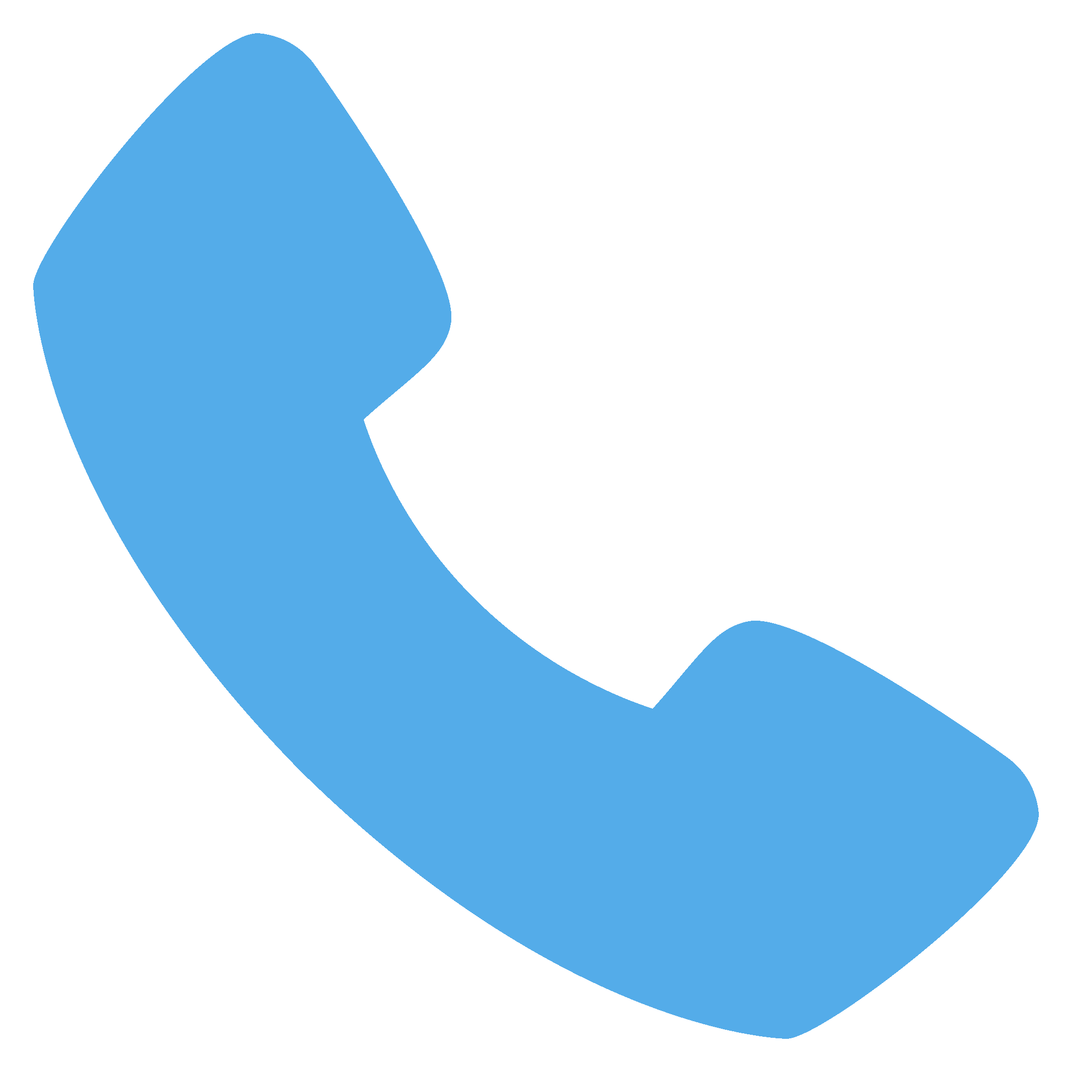 Phone icon