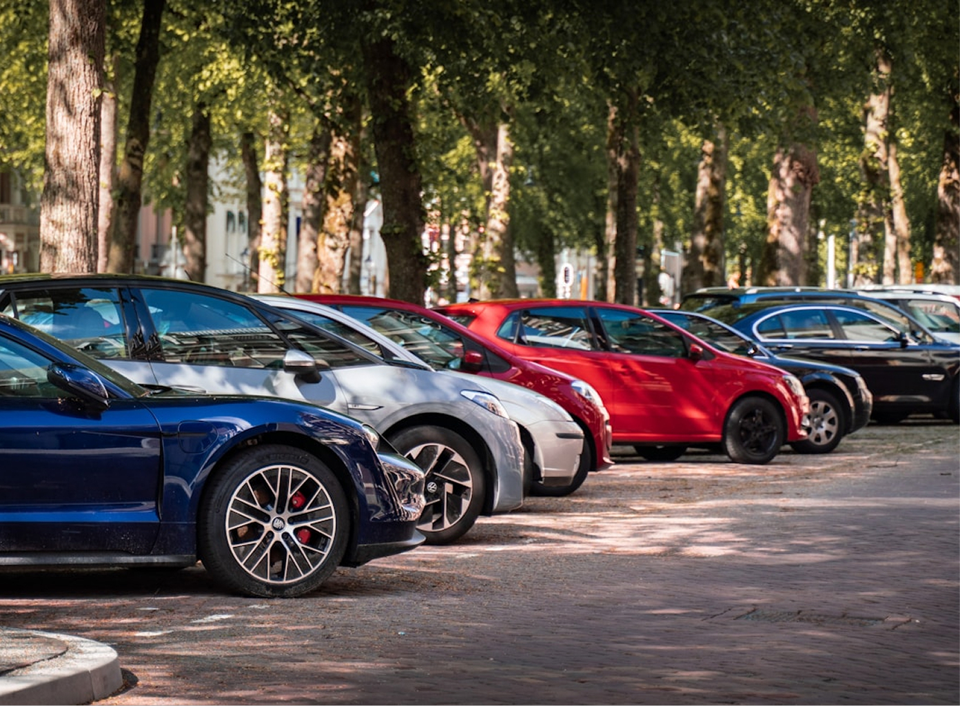 Row of parked cars in various colors under tall leafy trees on a sunny day.