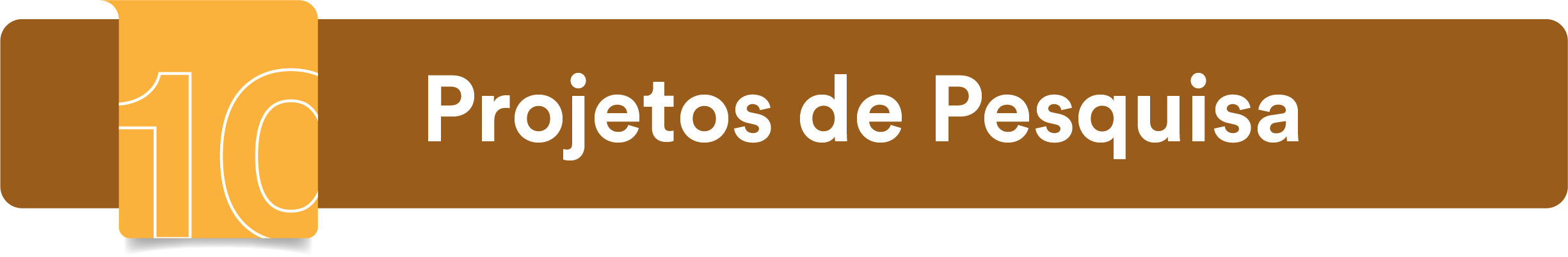 Projetos de pesquisa