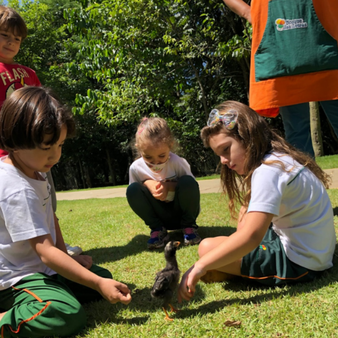 Alunos da escola Bosque das Letras brincando com animais