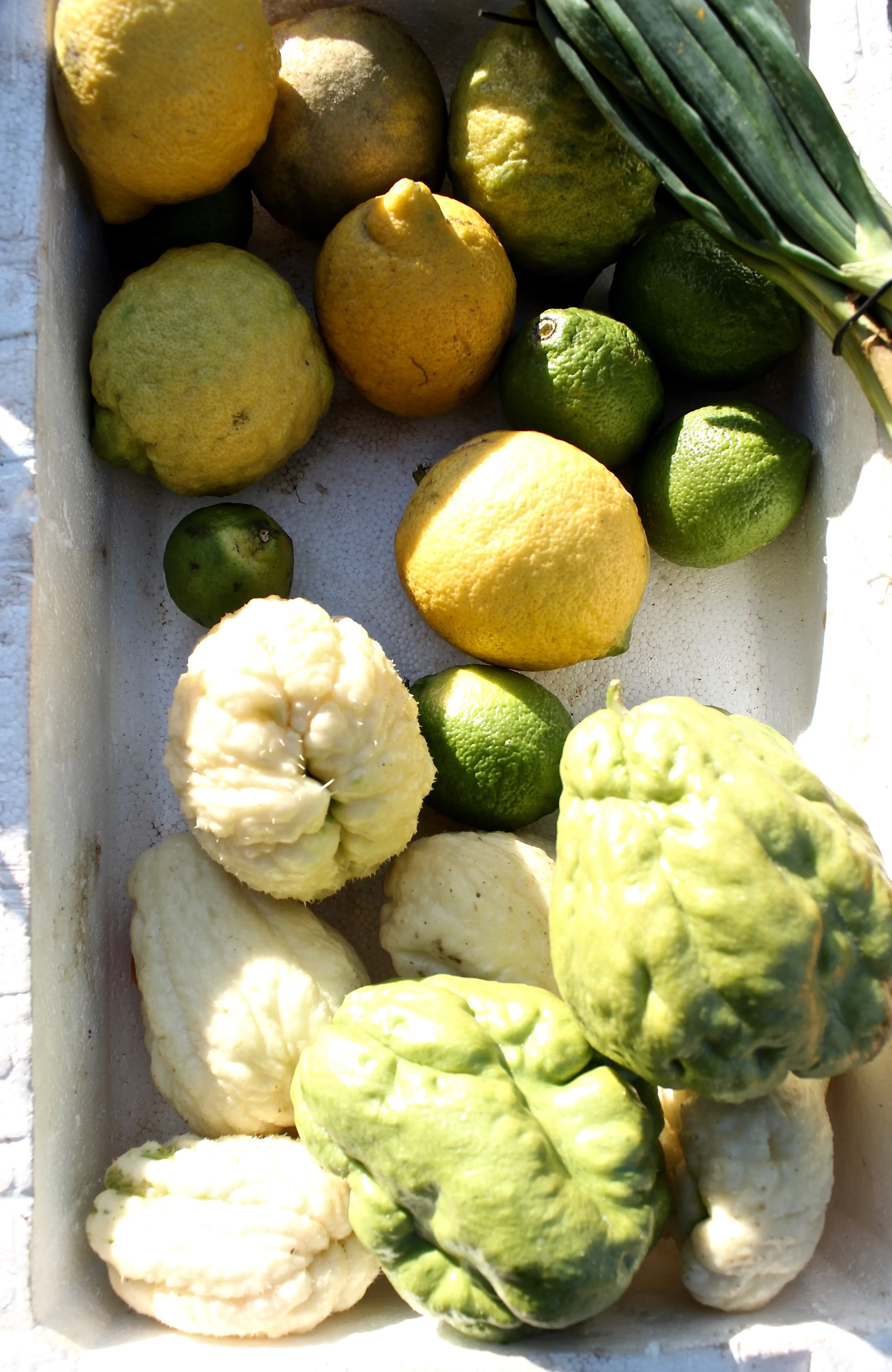 Local food from market in Olhão Algarve