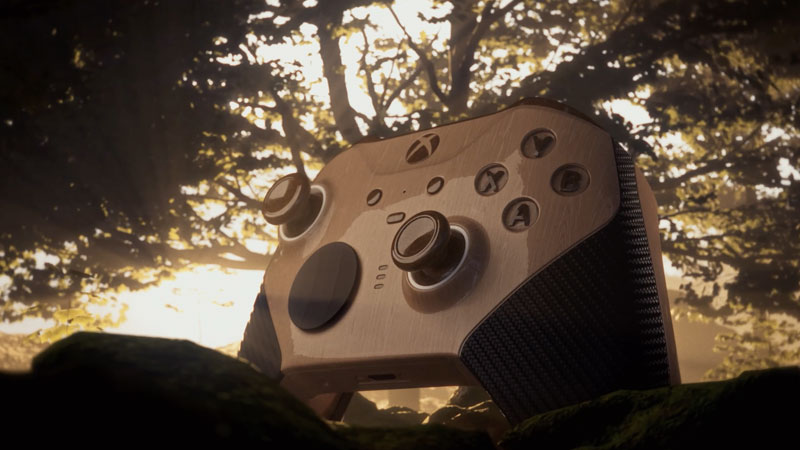 Xbox controller within beautiful forest