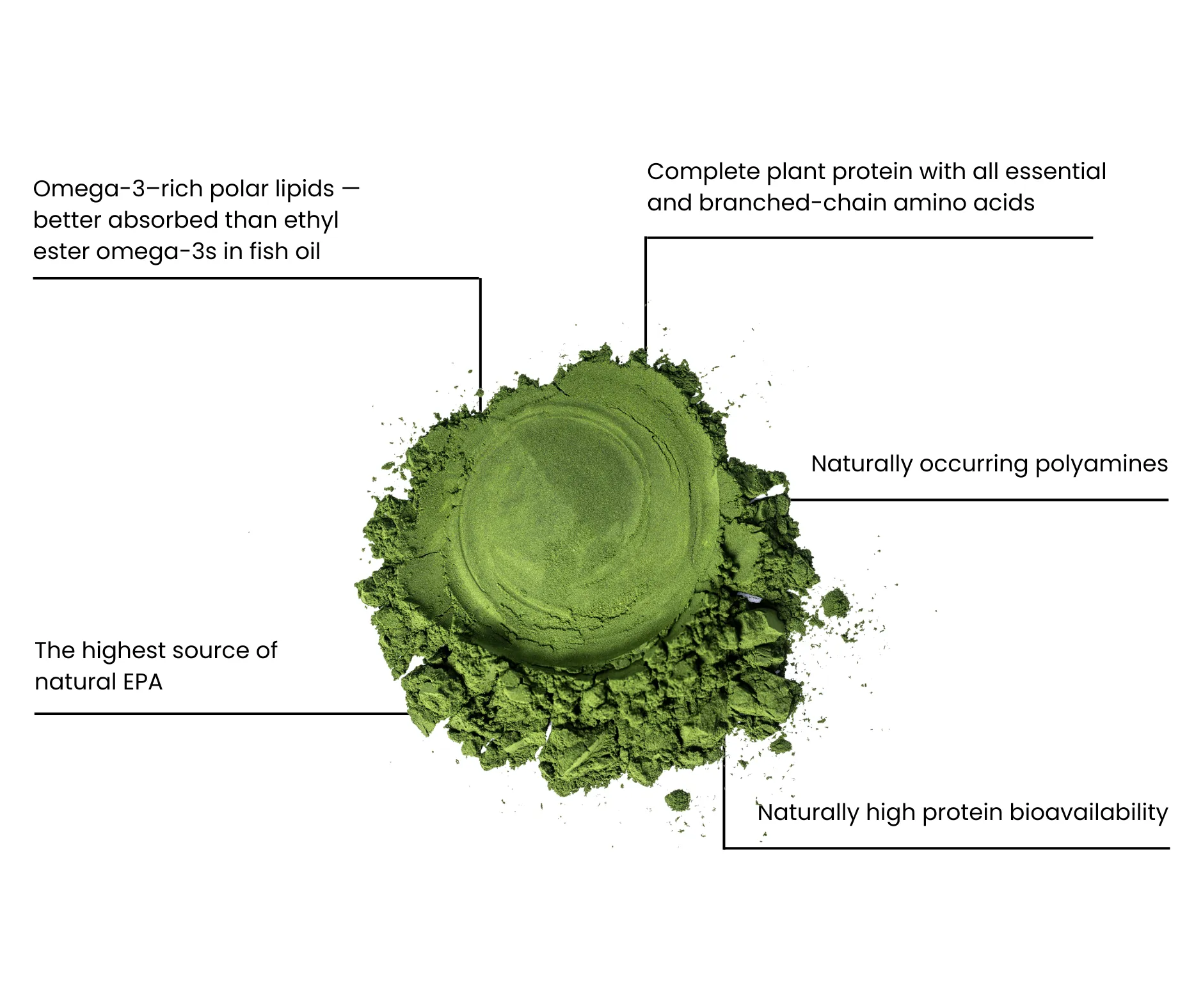 Green powdered supplement with labeled benefits including omega-3-rich polar lipids, highest natural EPA source, complete plant protein with essential amino acids, naturally occurring polyamines, and high protein bioavailability.
