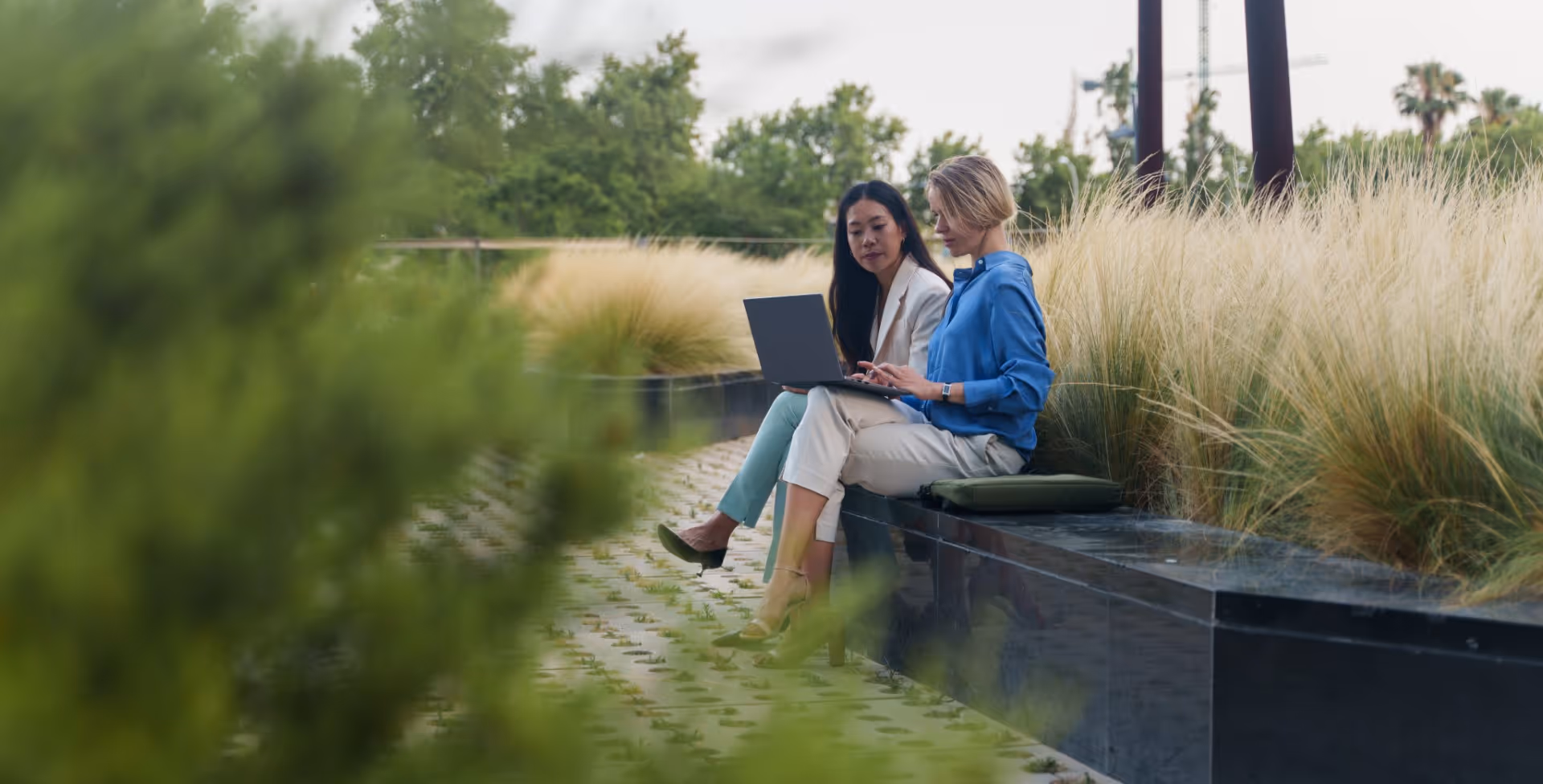 Two women collaborate on laptop by pond with ornamental grass landscape