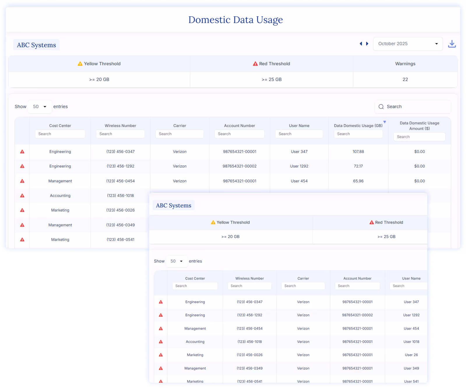 Data table showing ABC Systems domestic data usage with columns for cost center, wireless number, carrier, account number, user name, data usage in GB, and usage amount with red warning icons for threshold exceedance.