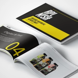 Flyer-Design-Services