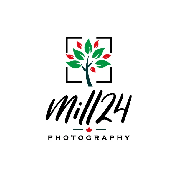 Custom brand design by The NetMen Corp for photographers