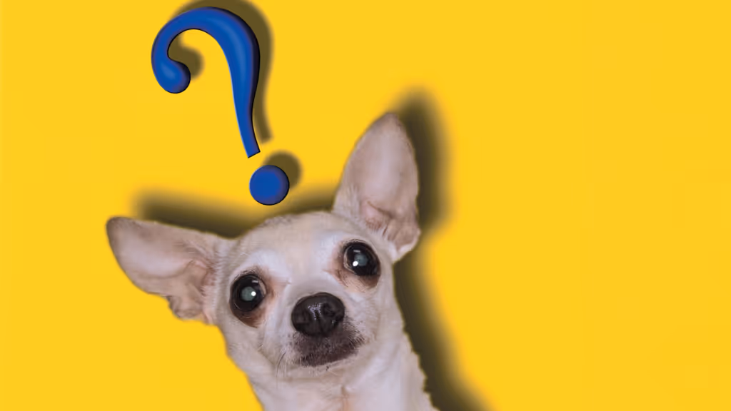 AI in fintech faq