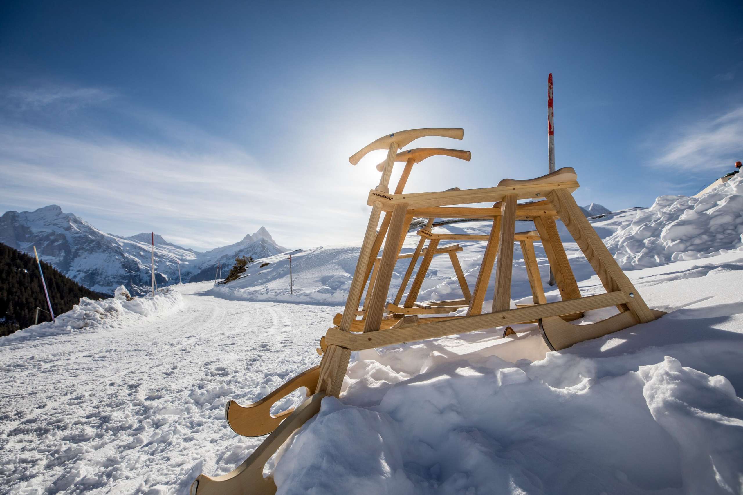 Sledding with Grindelwalds from snowy Alpine mountains