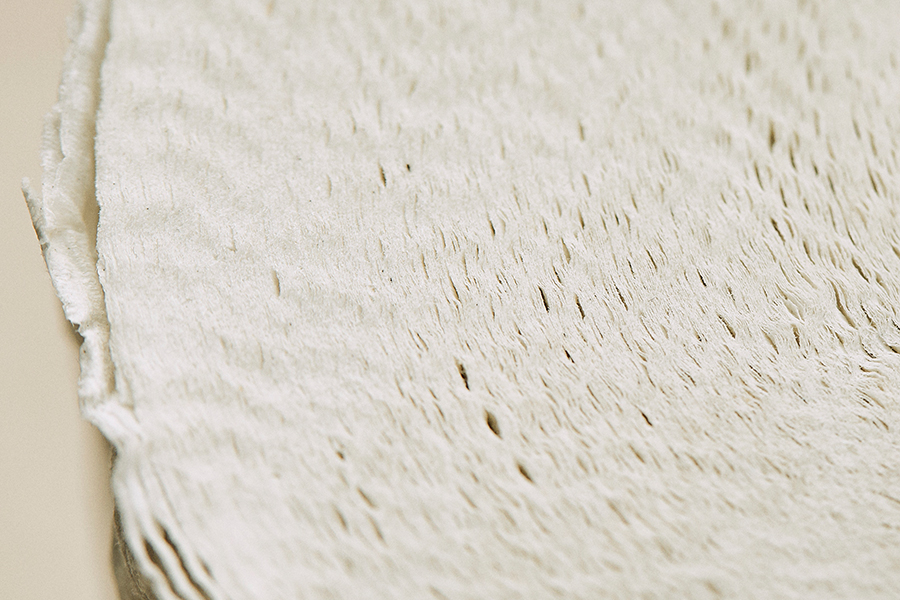 Satino Black - das Cradle to Cradle zertifizierte Toilettenpapier für nachhaltiges Badezimmermanagement und Umweltschutz.