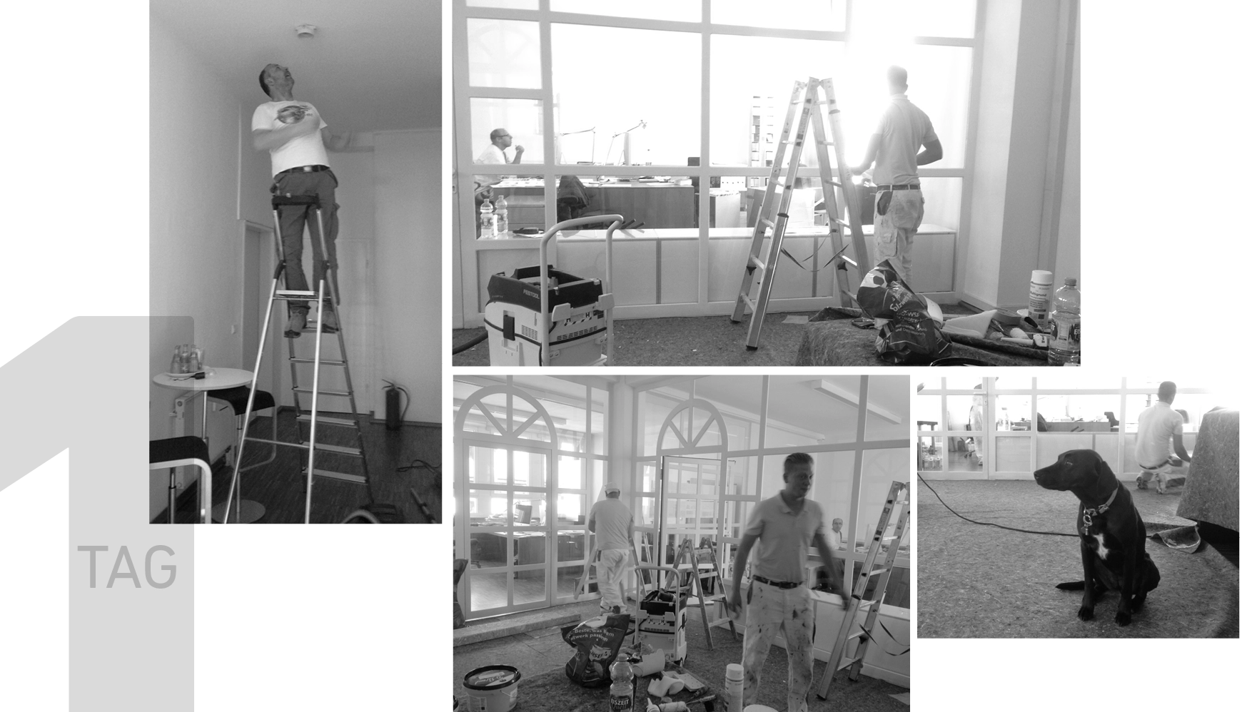 Renovierungs- und Umbauaktion im Büro: frisch gestrichene Wände, leere Räume, Werkzeug liegt bereit.