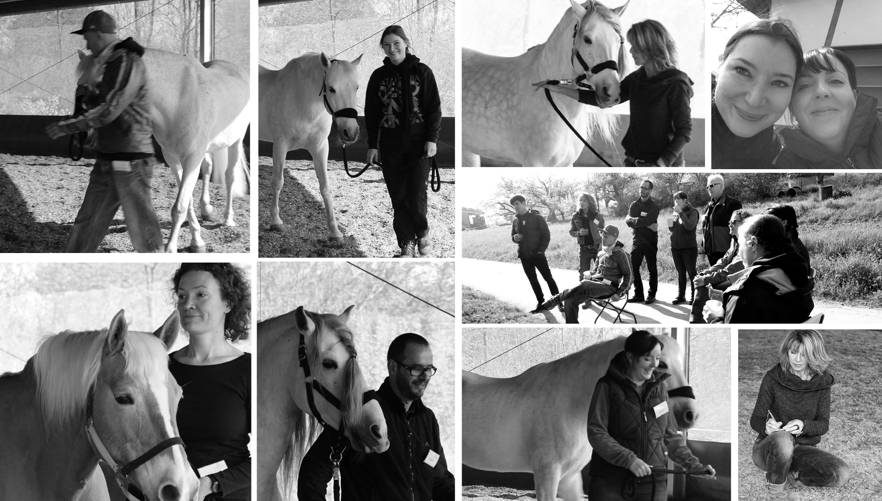 Führungskräftetraining mit Pferd: Teilnehmer:in führt ein Pferd auf der Koppel.